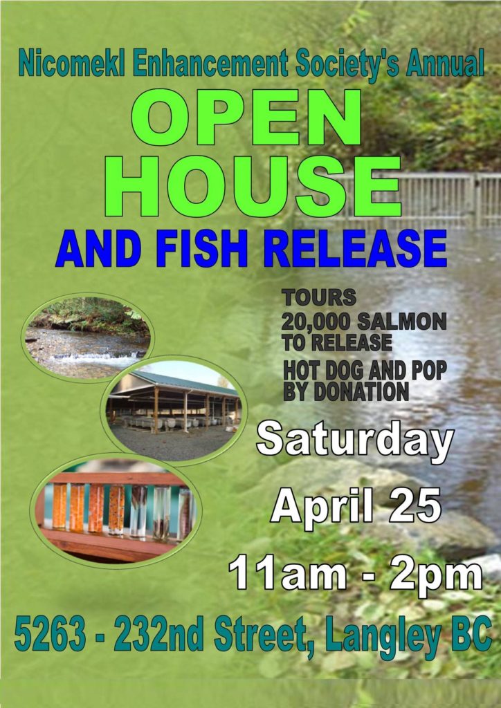 Nicomekl Enhancement Society's Annual Open House and Fish Release