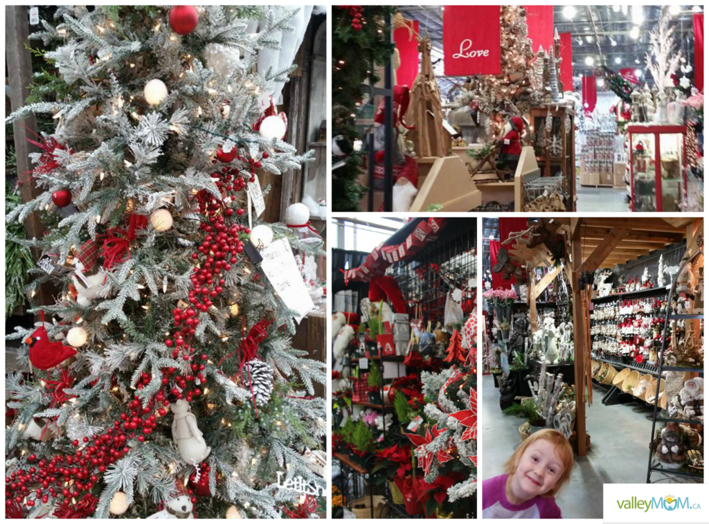 Potters Christmas Store