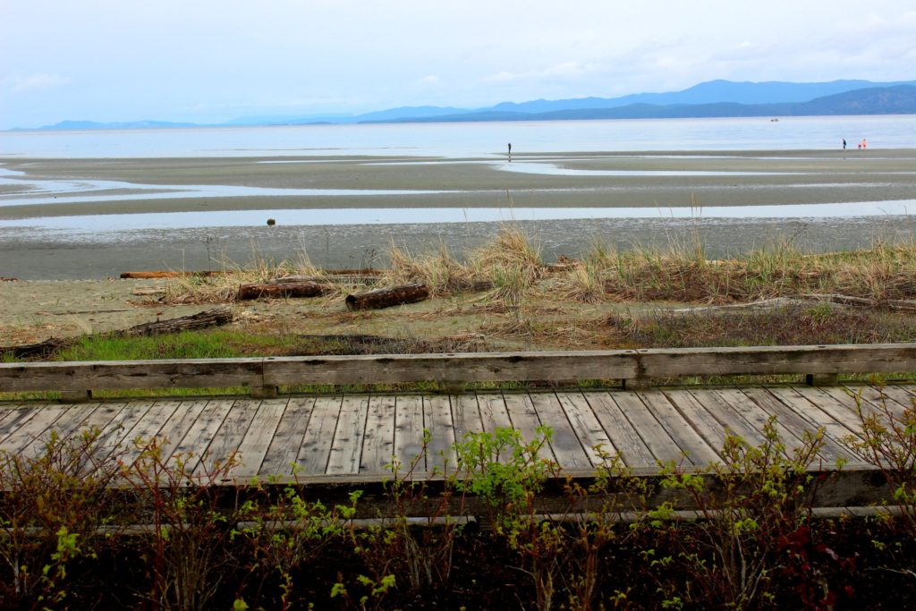 Parksville Beach