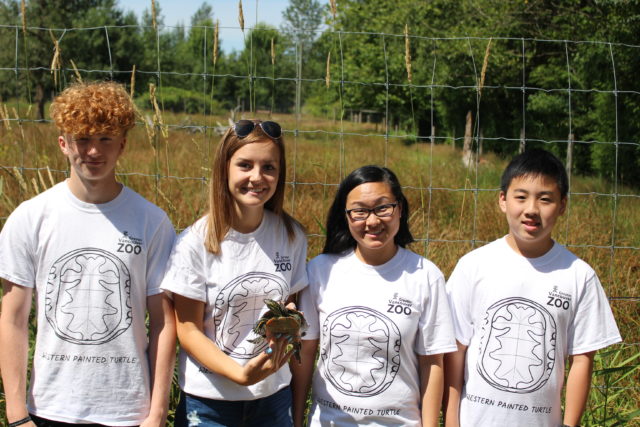 Greater Vancouver Zoo Turtle Dash